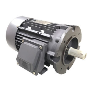 Electric Motor