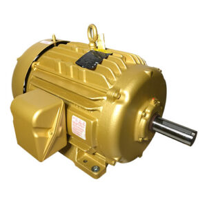 T Electric Motors 3600 rpm